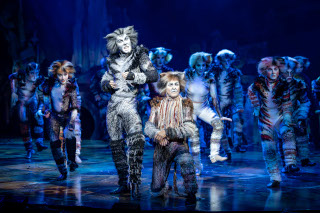 CATS-Musical-Crown-Perth