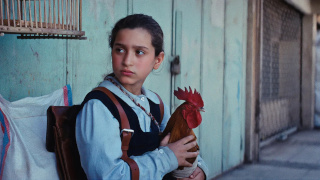 The-Presidents-Cake-Luna