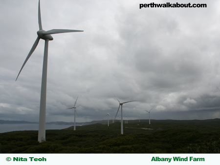 albany-wind-farm
