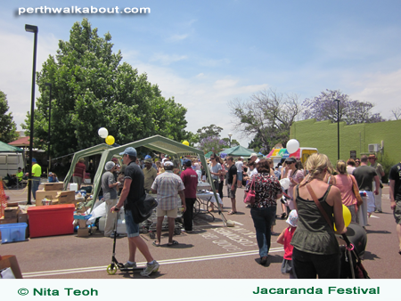 jacaranda-festival-1