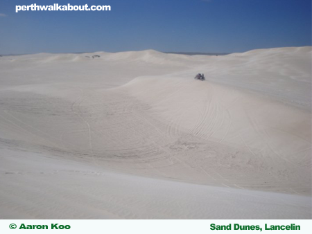 lancelin-sand-dunes-2