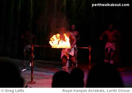 loritz-circus-perth-kenyan