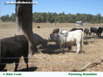 perth-farmstays-150