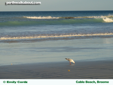 travel-western-australia-1