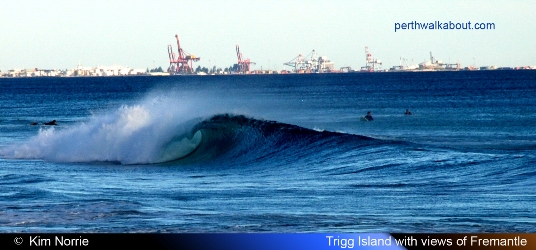 trigg-island-fremantle