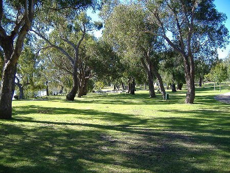 yanchep-national-park-1