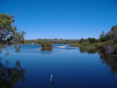 yanchep-national-park-2